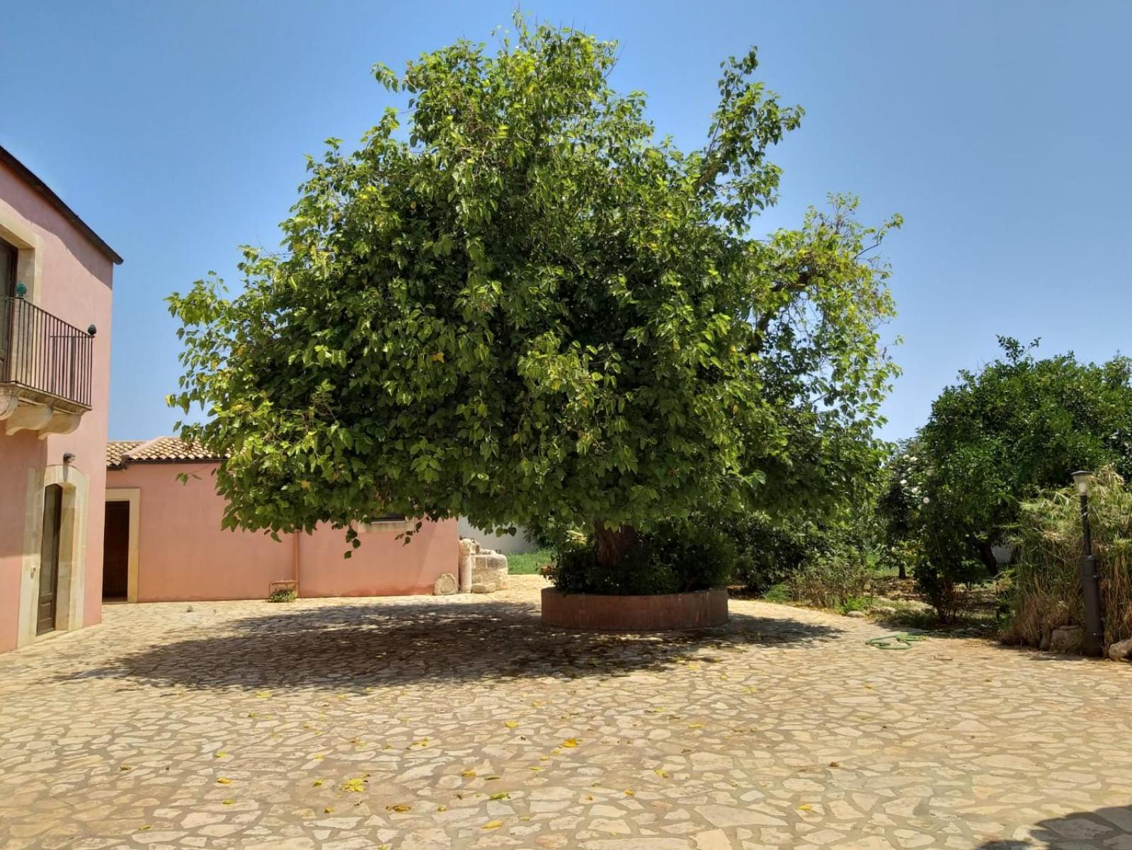 Antica Gebbia Guest House Syracuse Exterior foto